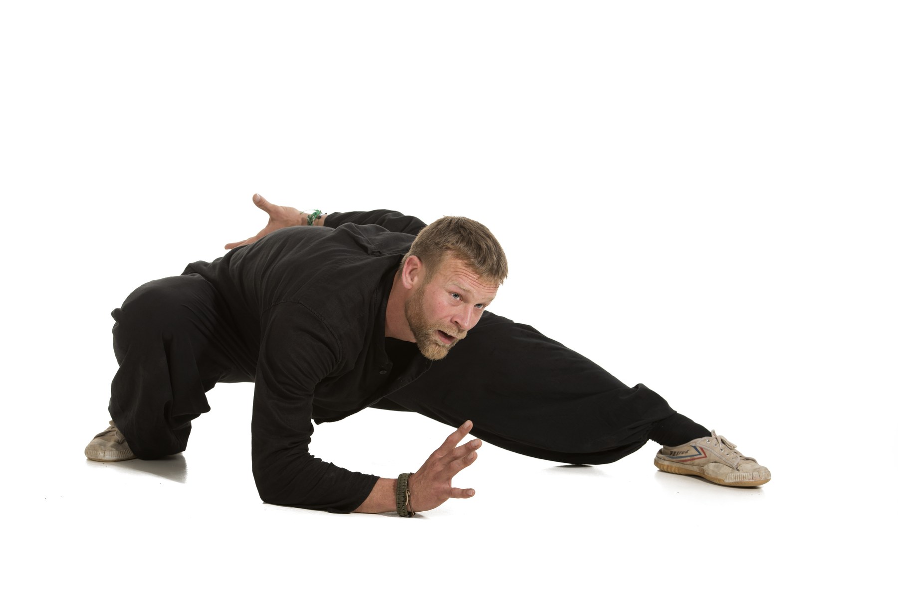 Hans Menck demonstrating a Swimming Dragon Tai Chi stance