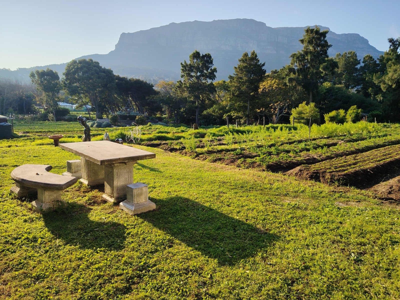 Late-afternoon light over the Love in a Bowl gardens in Hout Bay