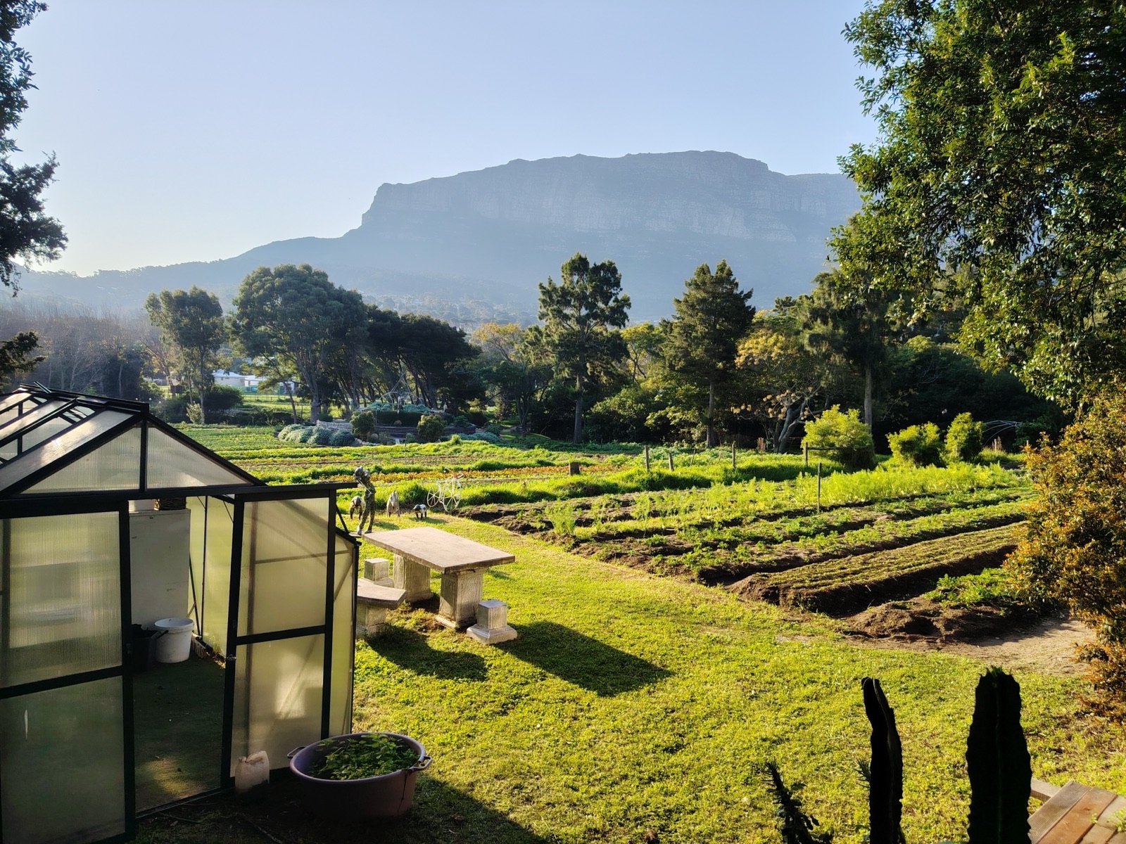 The greenhouse and gardens at Love in a Bowl with Hout Bay mountains beyond
