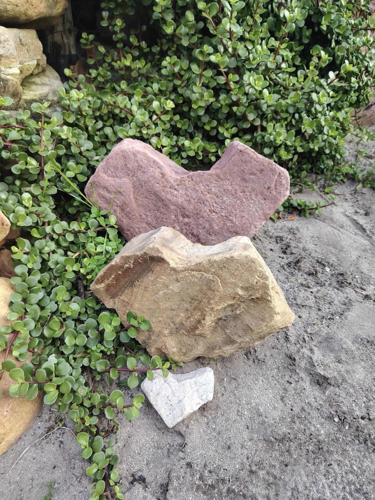 A heart-shaped stone resting on a rock at Love in a Bowl
